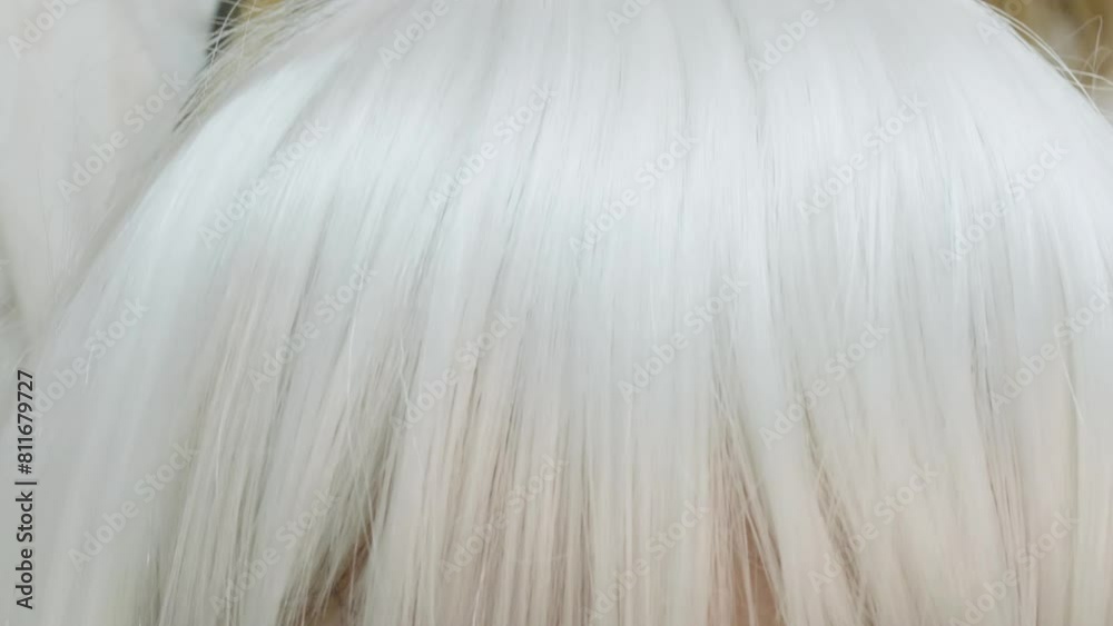 Closeup of hairstylist combing white hair of woman. Female with closed eyes is getting groomed by professional. They are in salon. Closeup of hairstylist combing white hair of woman. Female with closed eyes is getting groomed by professional. They are in salon.