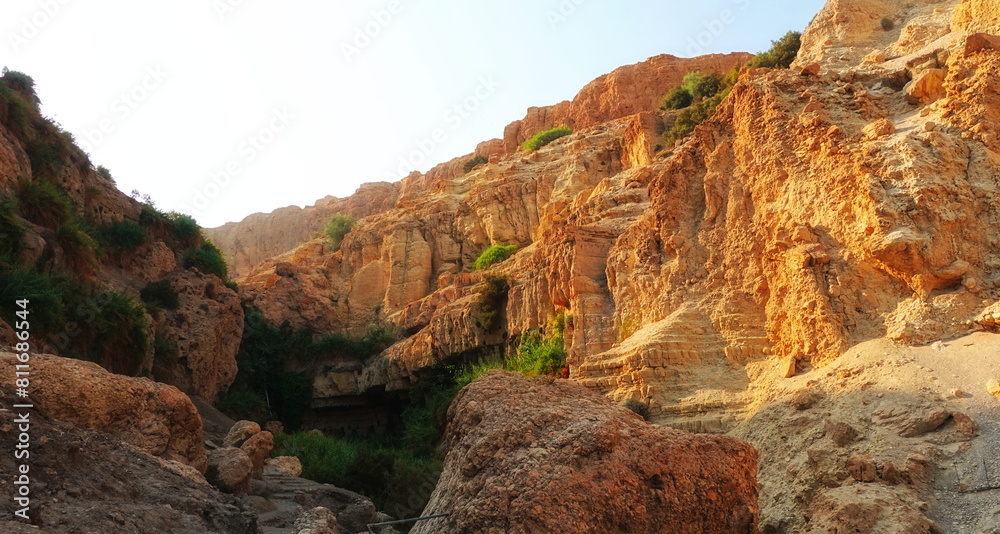 Rugged Rocky Cliffs With Green Vegetation Warm Light Wide Angle View