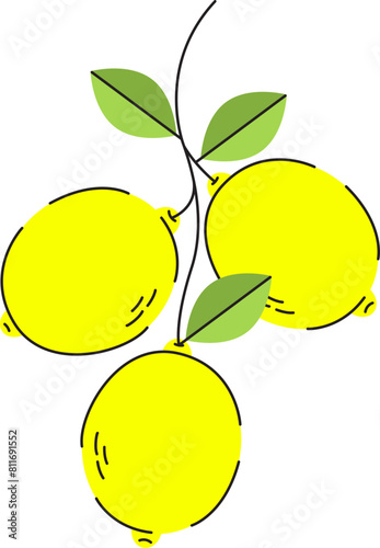 Lemon Flat Illustration