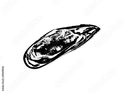 Black and white illustration sketch of a mussel hand drawing vector isolated on white background.