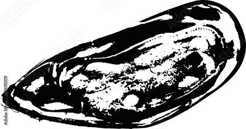 Black and white illustration sketch of a mussel hand drawing vector isolated on white background.
