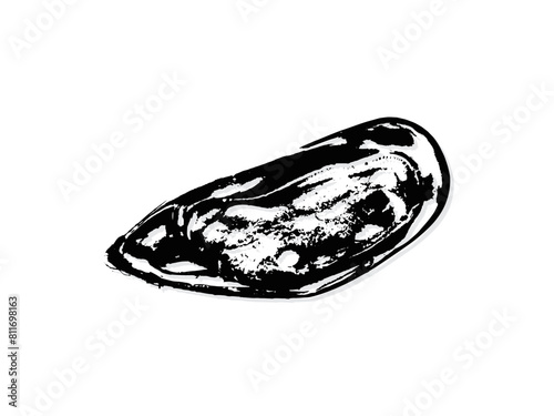 Black and white illustration sketch of a mussel hand drawing vector isolated on white background.