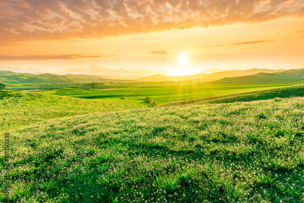 Scenic view at beautiful spring sunset in a green shiny field with green grass and golden sun rays, beautiful cloudy sky on a background Scenic view at beautiful spring sunset in a green shiny field with green grass and golden sun rays, beautiful cloudy sky on a background