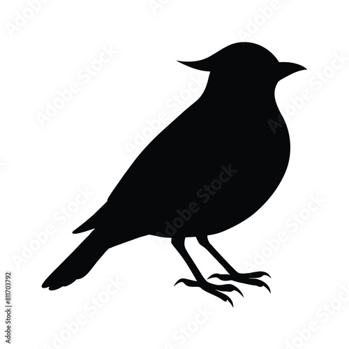silhouette of a skylark bird