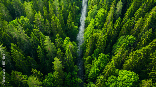 Aerial view of a forest with a waterfall.