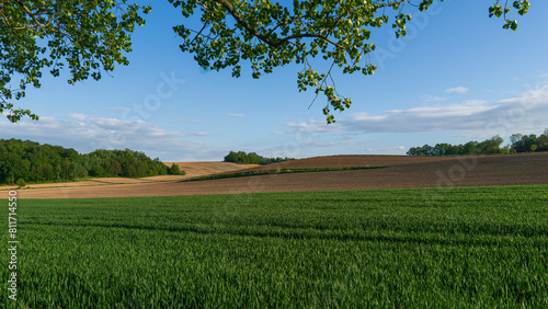 Canvas-taulu Farmland during sunset