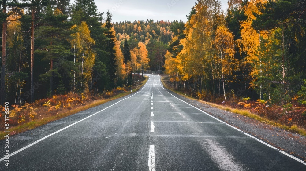 Road with trees on both sides Road with trees on both sides