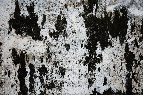 Wallpaper Mural dirty wall concrete old texture cement decisive vintage crack abstract grunge aged urban vintage look high resolution wallpaper background Torontodigital.ca