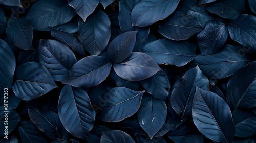 Abstract black leaves for a tropical foliage background