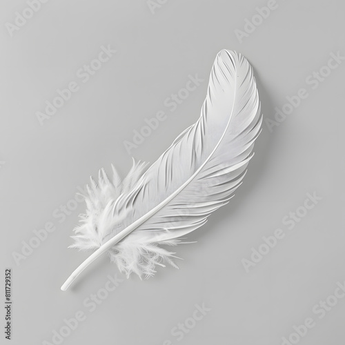 White fluffy feather isolated on light grey background