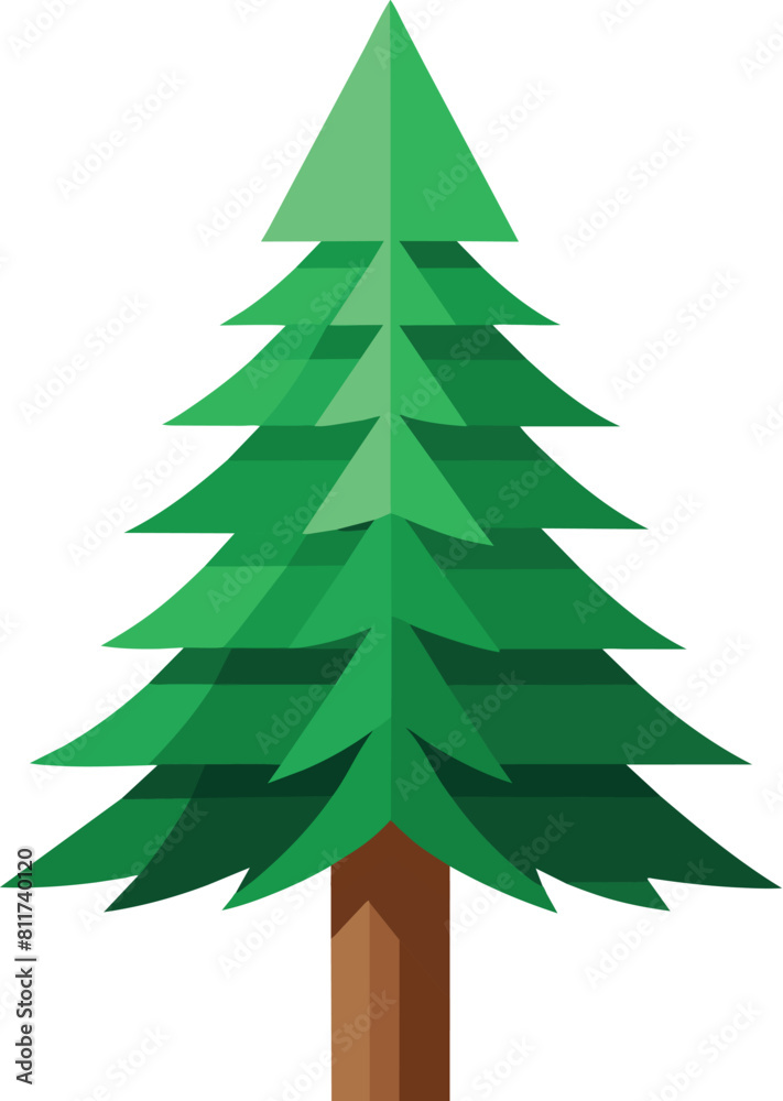 pine tree vector illustration, christmas tree pine tree vector illustration, christmas tree