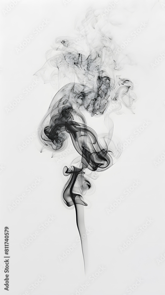 Fototapeta premium Dynamic black smoke flowing against white background