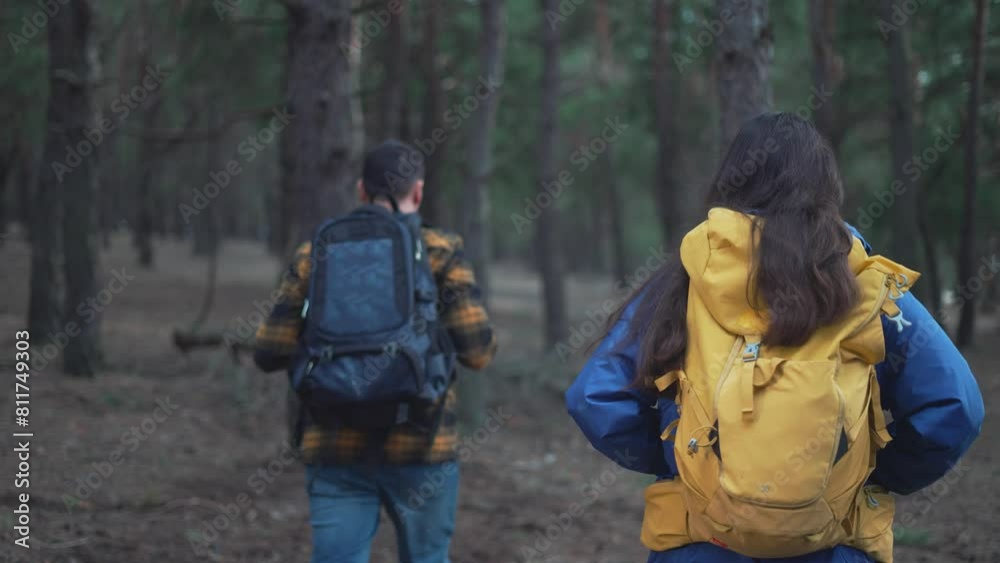 Tourist hike in forest people exploring nature trail. Hike adventure in forest tourist with backpack. People enjoy forest hike tourist trekking scenic path. Tourist hike in forest people exploring Tourist hike in forest people exploring nature trail. Hike adventure in forest tourist with backpack. People enjoy forest hike tourist trekking scenic path. Tourist hike in forest people exploring