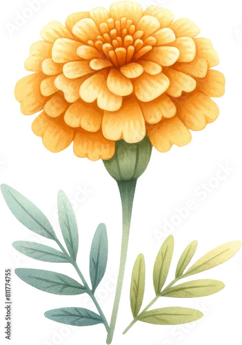 Untitled design - 35