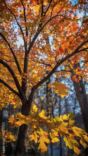 Fall Fusion, Vibrant paint splatters capture autumn hues.