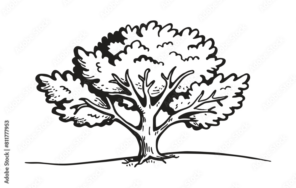 Oak tree doodle, vector illustration