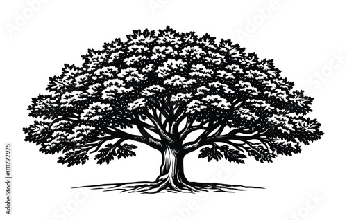 Black and white tree in woodcut engraving style  vector illustration