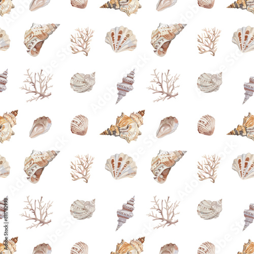Vector seashell pattern design. Watercolour seashell collection. Summer party, beach wedding decor