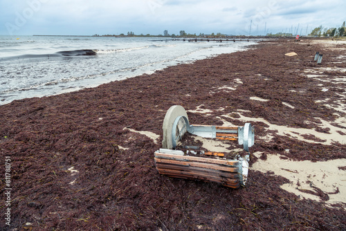 Beach after flood storm in Vallensbaek Denmark 20 October 2023 Koge bugt, photo