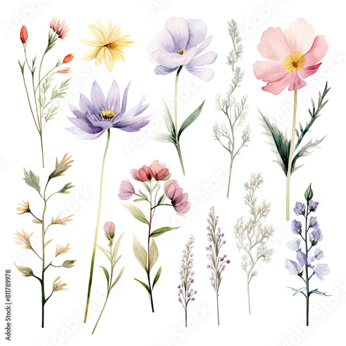 minimalistic watercolor wildflowers  floral floral arrangement templates  