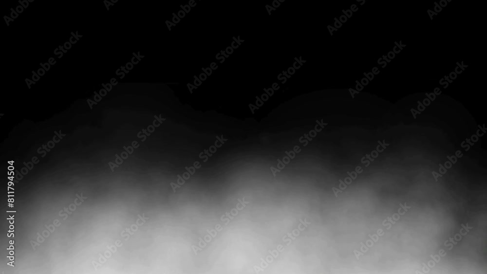 Abstract white smoke, fog, steam clouds flowing over black background, slow motion