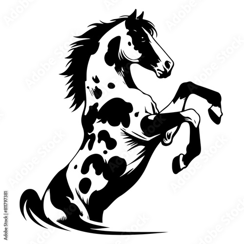 Artistic illustration of a black and white spotted horse rearing up, captured in a striking graphic style.