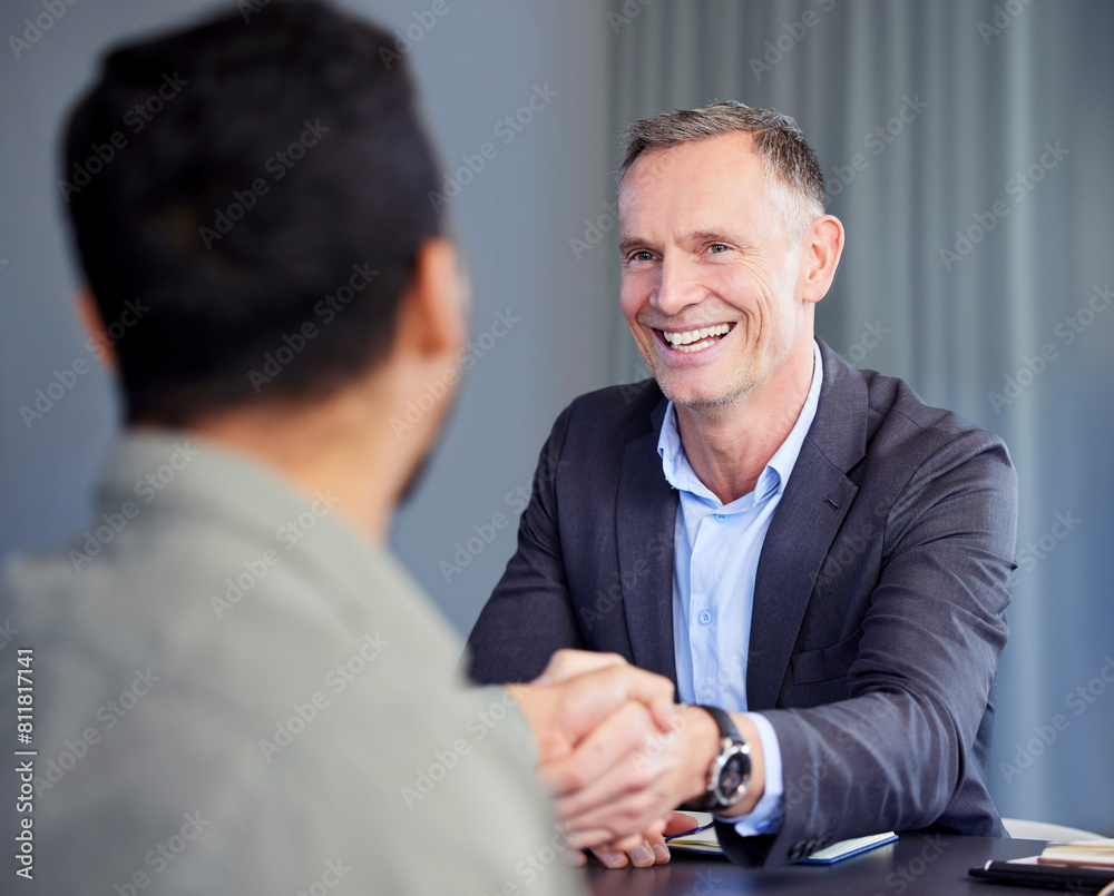Smile, handshake and business people in office for deal, agreement or b2b partnership discussion. Happy, team and professional men lawyers shaking hands for contract merger, onboarding or recruitment Smile, handshake and business people in office for deal, agreement or b2b partnership discussion. Happy, team and professional men lawyers shaking hands for contract merger, onboarding or recruitment