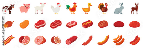 Meat products Icons, vector flat cartoon illustration. Butcher shop - beef, pork, poultry, bacon, steak, chicken, duck, roast, ground.