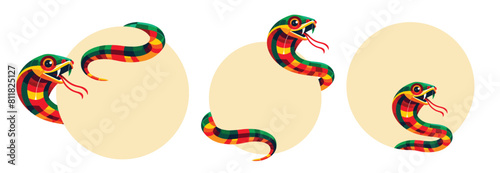 Set of vibrant colorful snake on round label