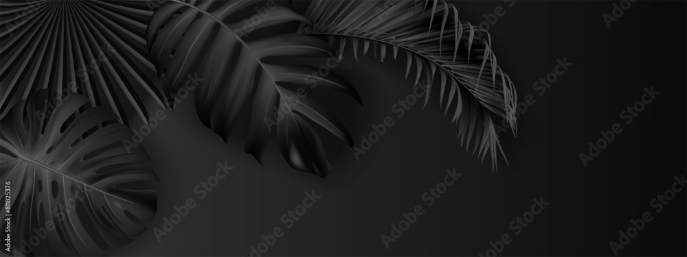 Tropical black background from exotic leaves. Design vector. Paradise plants. Stylish fashion banner. Wedding template. Leaves are not trimmed. Isolated and editable Tropical black background from exotic leaves. Design vector. Paradise plants. Stylish fashion banner. Wedding template. Leaves are not trimmed. Isolated and editable
