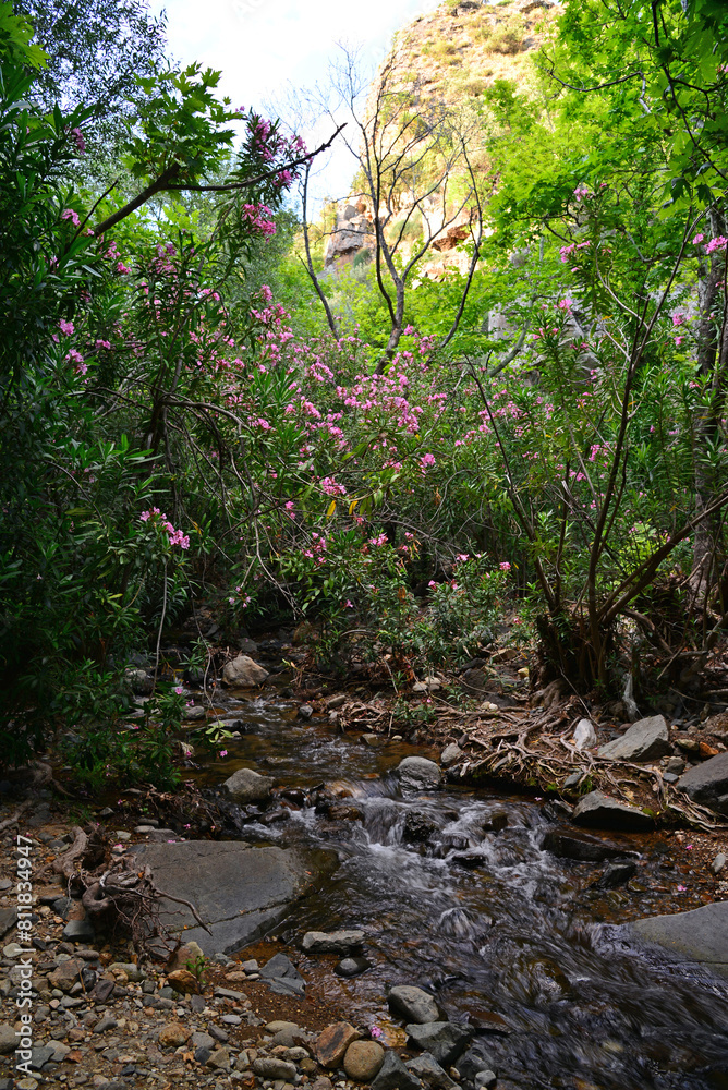 Nebiler Waterfall and Aglayan Cave, located in Dikili, Izmir, Turkey, is a tourist destination with a walking track and picnic area. Nebiler Waterfall and Aglayan Cave, located in Dikili, Izmir, Turkey, is a tourist destination with a walking track and picnic area.