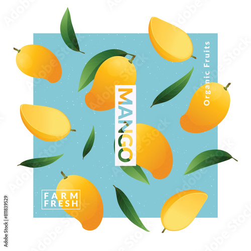 Mango packaging design templates. Modern style vector illustration.