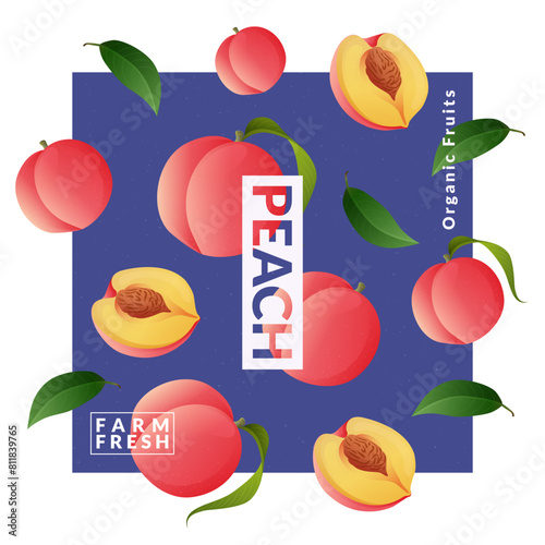 Peach packaging design templates. Modern style vector illustration.