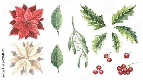 Mistletoe twig with berries, holly and poinsettia. Christmas traditional plants in vintage. Watercolor set. Hand drawn illustration for winter holiday decoration. Clipart for card, New Year, wrapping.