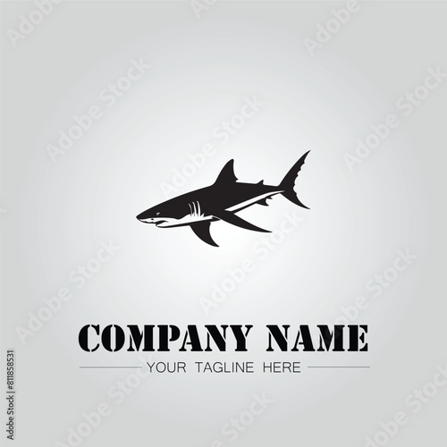 Shark silhouette illustration design for company logo vector image on the white background	
