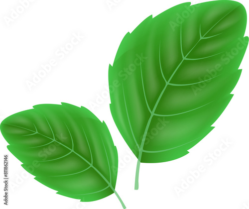 Abstract Green leaves. Eco green concept spring card background for your design. Eps 10