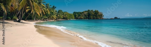 A beach with palm trees and clear blue water