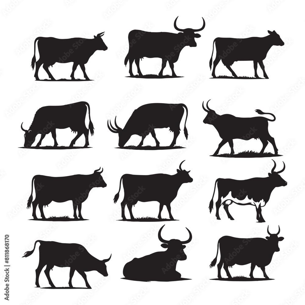 set of cows silhouettes on white set of cows silhouettes on white