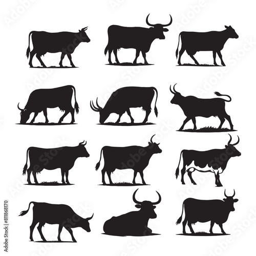 set of cows silhouettes on white 