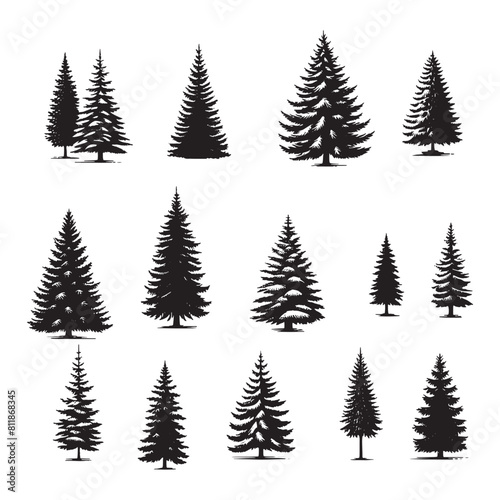 set of pine trees silhouettes on white 