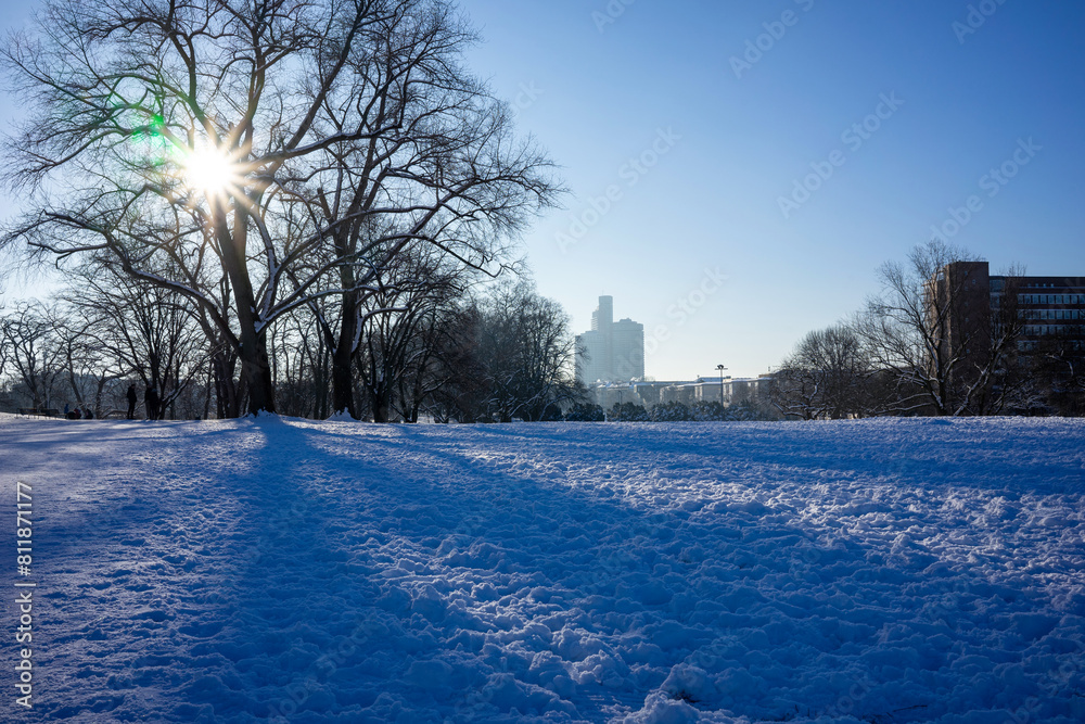 Φωτογραφία Sunlit Winter Morning at Aachener Weiher, Cologne: City Skyline Peeking Through
