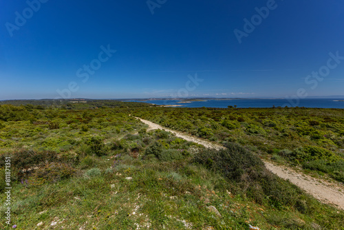 Fototapeta Naklejka Na Ścianę i Meble -  Istria Kamenjak Peninsula beautiful beaches high cliffs for jumping into the water wild nature