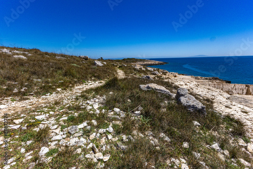 Fototapeta Naklejka Na Ścianę i Meble -  Istria Kamenjak Peninsula beautiful beaches high cliffs for jumping into the water wild nature