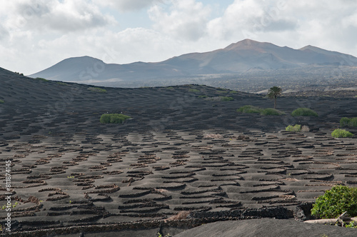 La Geria - Lanzarote
