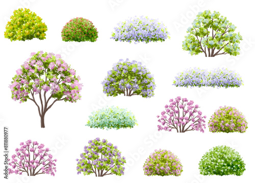 Vector watercolor blooming flower tree or forest side view isolated on white background for landscape and architecture drawing,elements for environment or and garden,shrub for section ,Set of floral photo