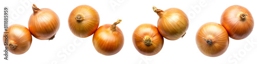 Two onion on transparent background PNG file