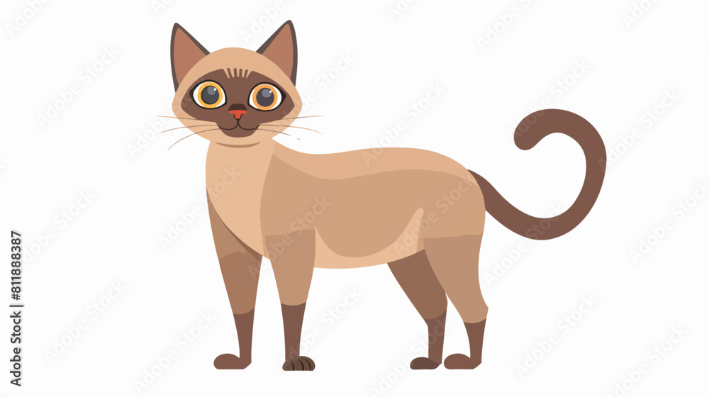 Burmese cat breed flat vector illustration. Funny pur