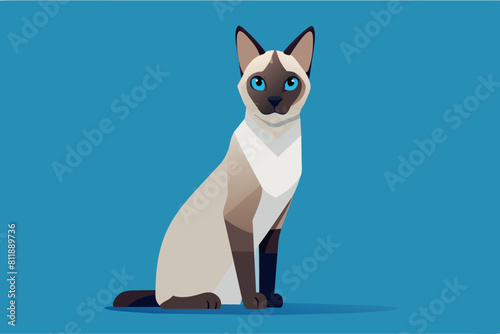 A Siamese cat with blue eyes sits attentively