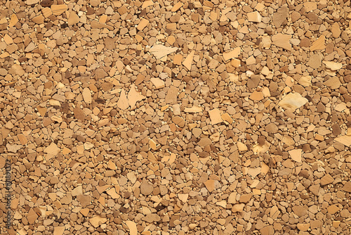 Natural Cork Material Texture in Close-Up Detail