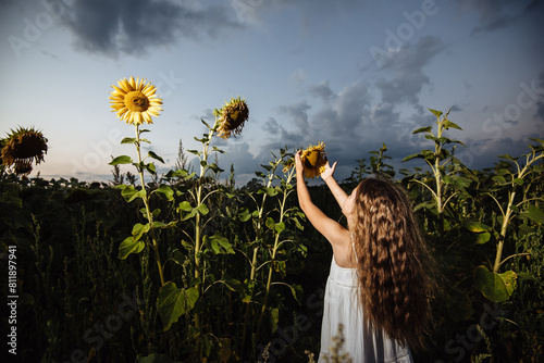 A child poses in a field with dried sunflowers. The concept of global warming and nature protection.